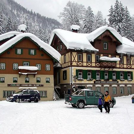 Jugendgaestehaus Gosauschmied Exterior photo